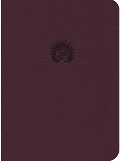 "Biblia de estudio de la reforma (LBLA)" - Tapa piel ciruela