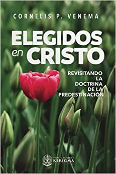 Elegidos en Cristo: Revisitando la doctrina de la predestinación - Tapa rustica
