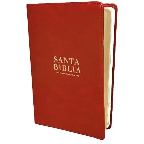 Biblia RVR60 letra grande manual tapa piel café