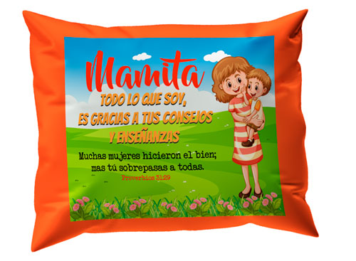Almohada "Gracias por tus consejos...."
