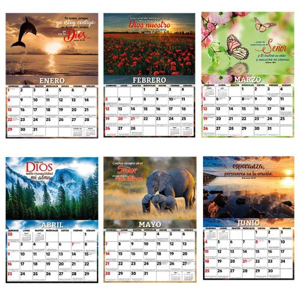 Calendario biblico 2023 - "Paisajes y animales" - Imagen 2