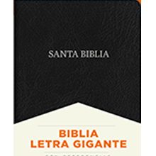 BIBLIAS LETRA GRANDE